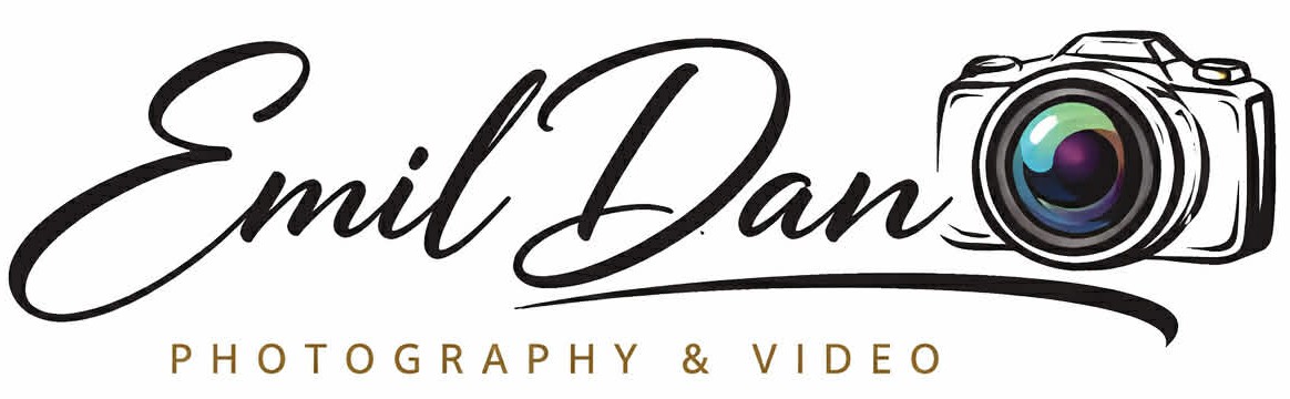 Emil Dan Logo
